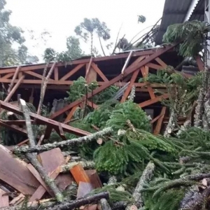 Tornado derrubou árvores e deixou casas destelhadas em Campo Alegre — Foto: Defesa Civil/ Divulgação