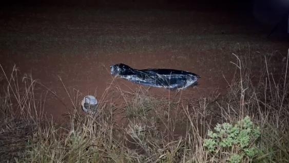 Imagem Deivid Fragatta/Rede Massa