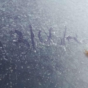 Geada registrada no Berlim. Foto: Divulgação.
