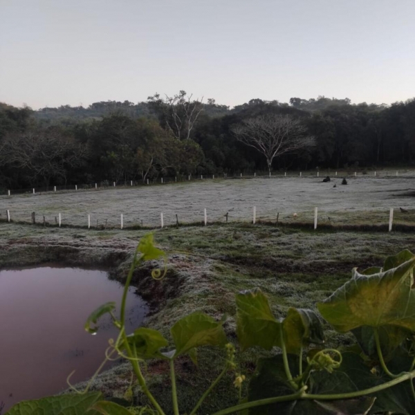 Foto: Marcia Cristina / Portal Rondon