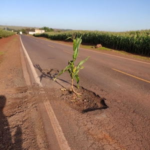 Imagem do buraco onde foi realizado o protesto. Foto: Colaborador.