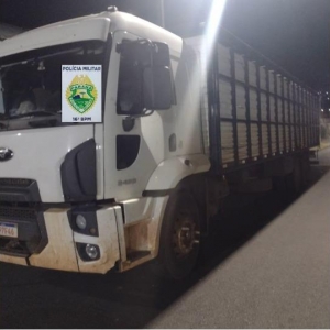 Caminhão apreendido. Foto: PMPR