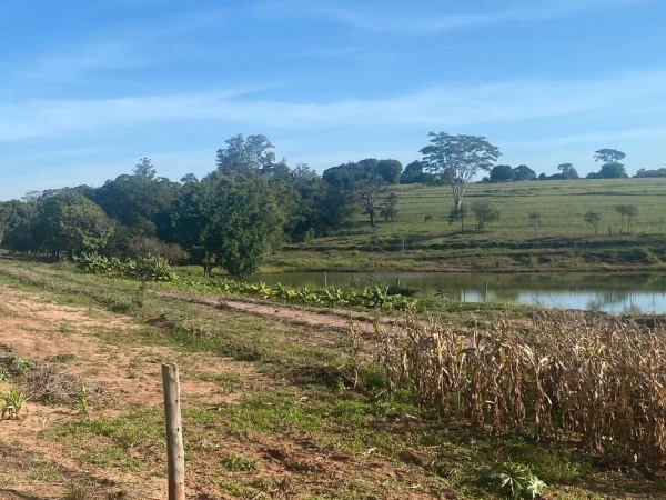 Polícia apura se jovem entrou para nadar ou se caiu na represa — Foto: Diogo Anitele