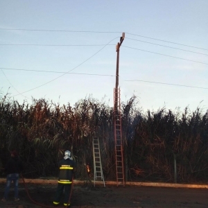 Local do acidente. Foto: Divulgação