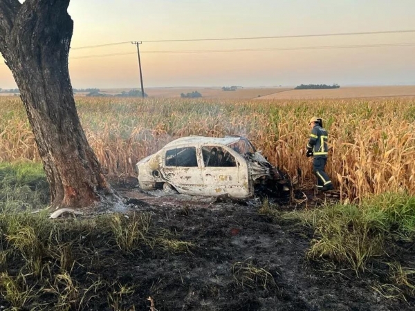 Carro pegou fogo depois de bater contra árvore, segundo bombeiros — Foto: Helder Villela/Goionews