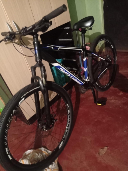 Bicicleta furtada. Foto: Divulgação.