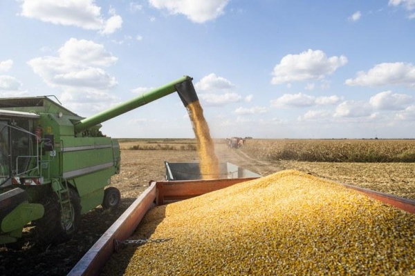 Foto: Ministério da Agricultura/Arquivo