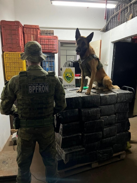 Foram localizados fardos abandonados maconha, que totalizaram 1.049,4 quilos da droga. Fotos: BPFron