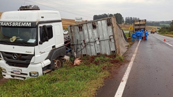Fotos: Portal Nova Santa Rosa