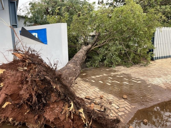 Fotos: Portal Nova Santa Rosa