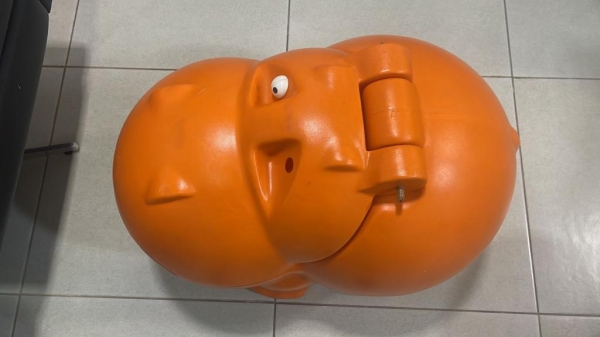 Foto: Polícia Civil de Sarandi/Divulgação