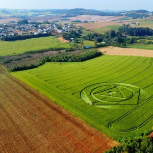 Agroglifos que apareceram em SC. — Foto: Tiago Kosinski/Divulgação