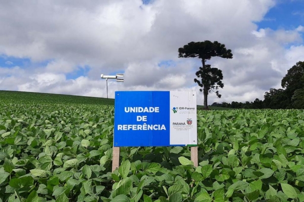 Foto: IDR-PARANÁ