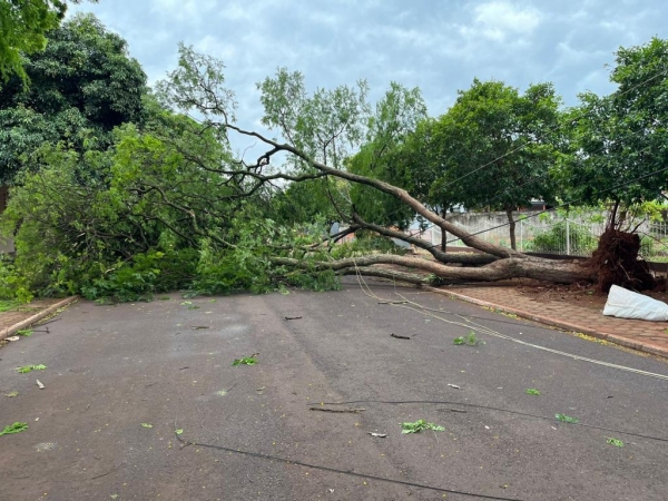 Fotos: Portal Nova Santa Rosa