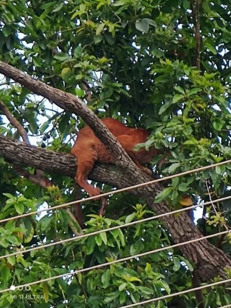 Fotos: Rede Social/Divulgação.