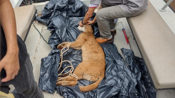 Fotos: Polícia Federal