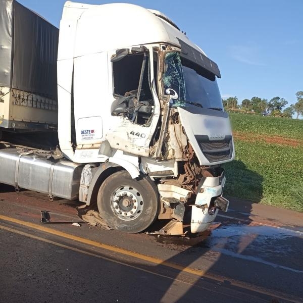 Fotos: Ponto da Notícia.