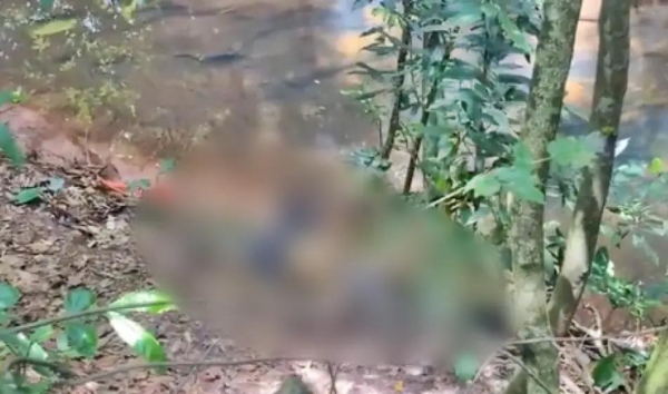 Foto: Michael /Portal Alto Piquiri