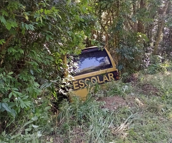 ônibus escolar cai em ribanceira — Foto: Reprodução/RPC