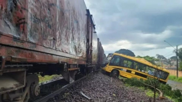 Silvia Vilarinho/TNOnline