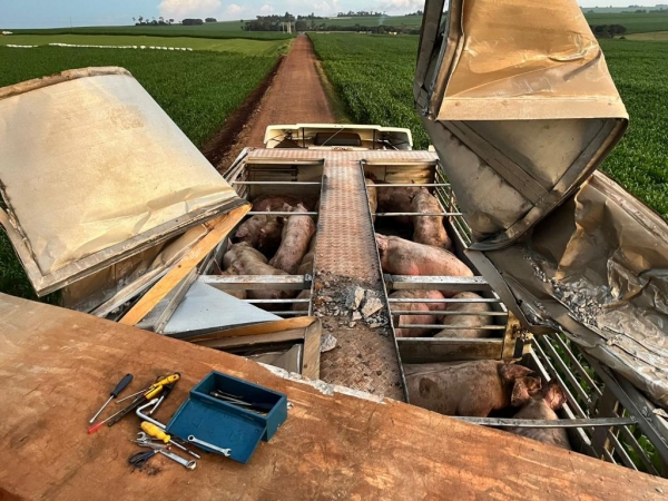 Fotos: Portal Nova Santa Rosa.