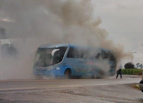 Fotos: Portal Palotina.