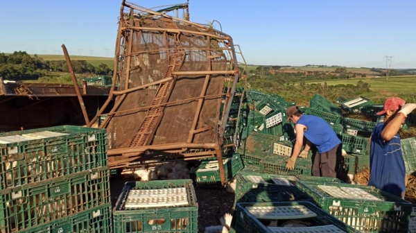 Fotos: Portal Nova Santa Rosa