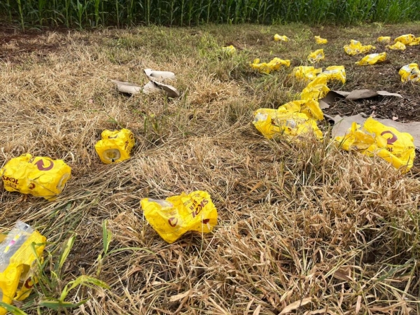 Fotos: Portal Nova Santa Rosa