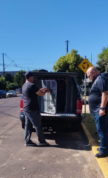 Foto: Polícia Civil de Toledo.