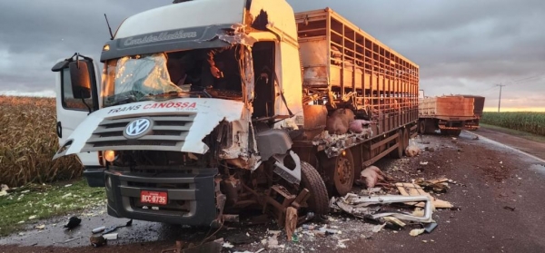 Fotos: Portal Nova Santa Rosa