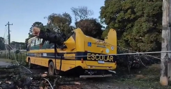 Ninguém estava dentro do ônibus no momento do acidente — Foto: Márcio Luiz Correia da Luz