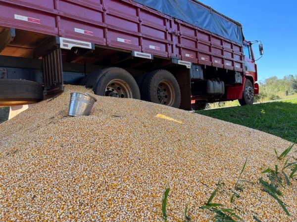 Fotos: Portal Nova Santa Rosa