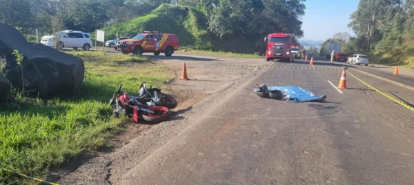 Imagens Ivânia Bonatto/Diário da Informação