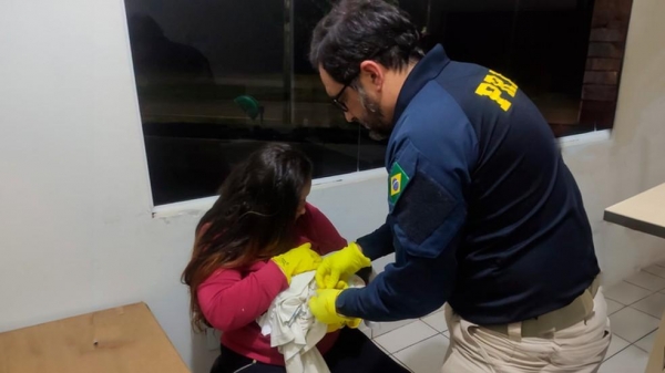 Caso ocorreu em Ibiporã (PR) — Foto: Divulgação