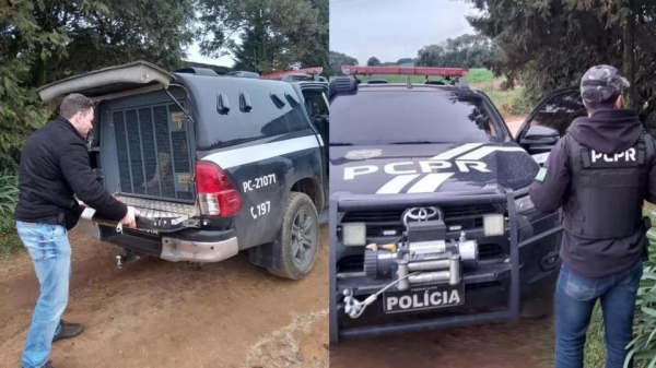 Foto: Reprodução/Polícia Civil do Paraná 