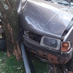 Fotos: Portal Palotina