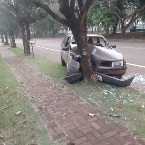 Fotos: Portal Palotina