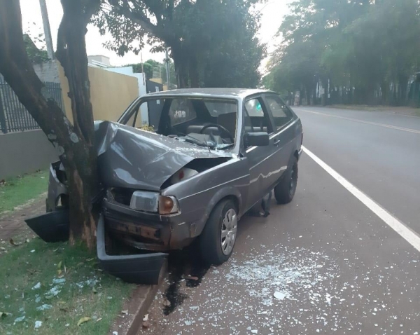 Fotos: Portal Palotina