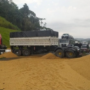 Carga de soja derramada na pista em acidente na BR-277, no Paraná — Foto: PRF