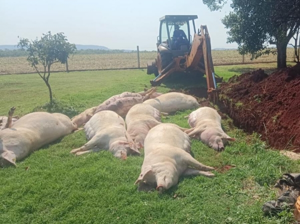 Fotos: Xeretando.com.br