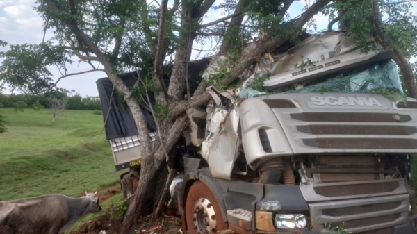 Fotos: Rádio Clube de Realeza.