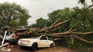 Fotos: CGN com Assessoria