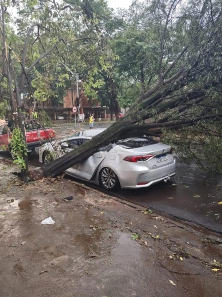 Foto: Equipe GMC Online