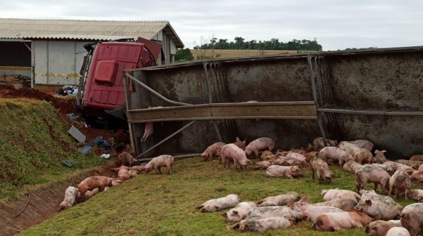 Fotos: Portal Nova Santa Rosa
