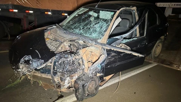 Foto: Reprodução/Catve