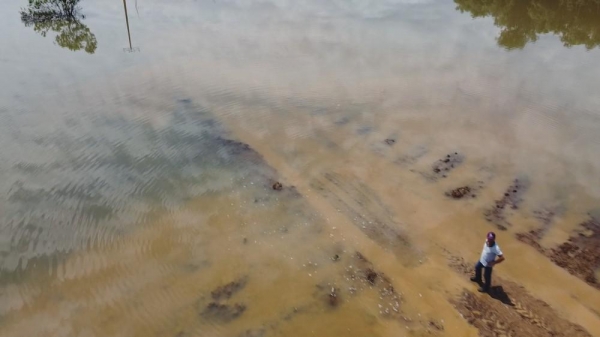 Temporais atingem lavouras no Paraná — Foto: Caminhos do Campo/RPC