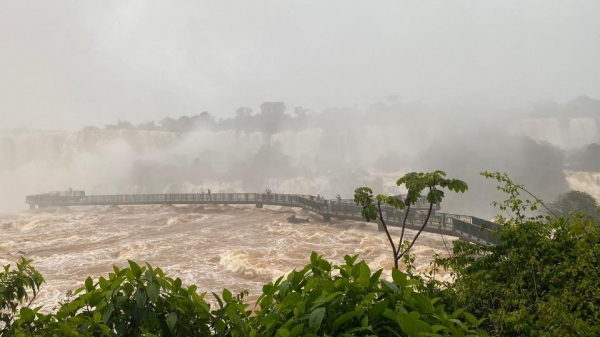 O volume está 4 vezes acima da média, que é de 1,5 milhão. Foto: Assessoria.