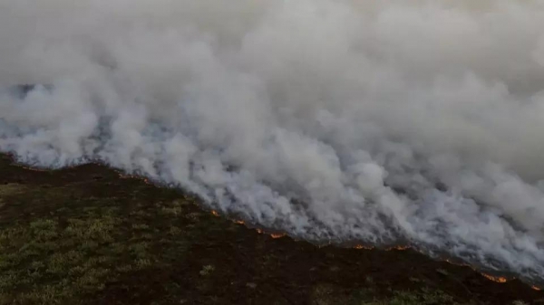 Foto: Joédson Alves/Agência Brasil 