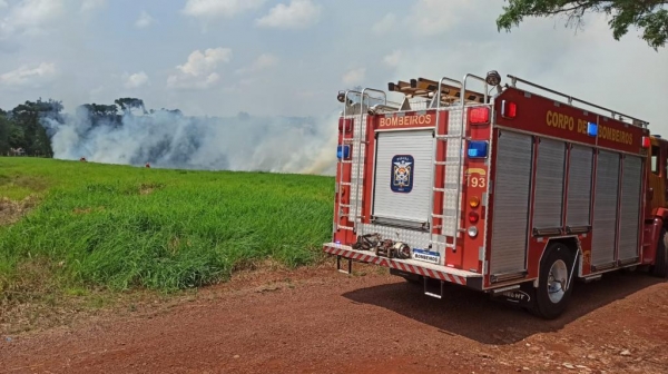 Fotos: Portal Nova Santa Rosa