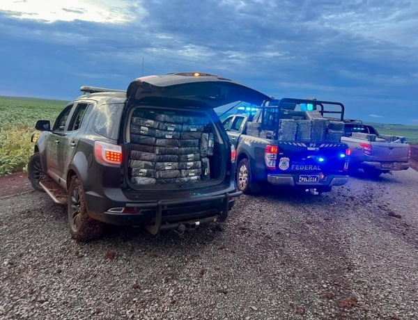 Fotos: Divulgação.